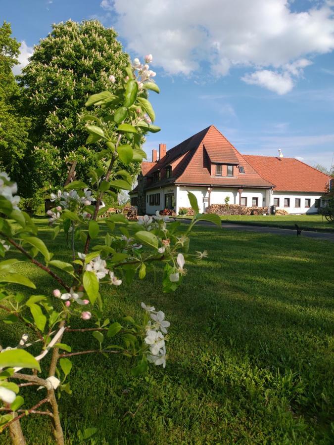 Haus Ringgau - Urlaub, Gemeinschaft Und Erlebnis Im Herzen Von Deutschland Herleshausen Extérieur photo