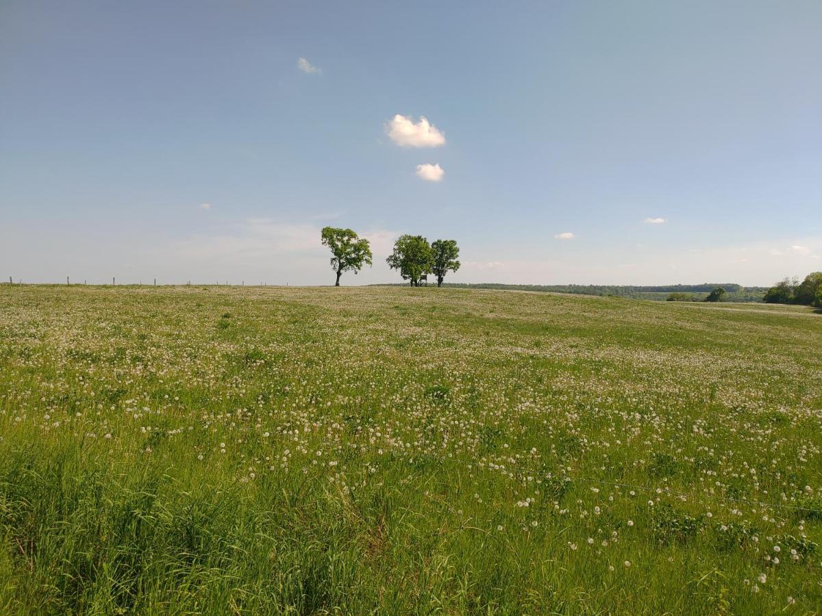 Haus Ringgau - Urlaub, Gemeinschaft Und Erlebnis Im Herzen Von Deutschland Herleshausen Extérieur photo