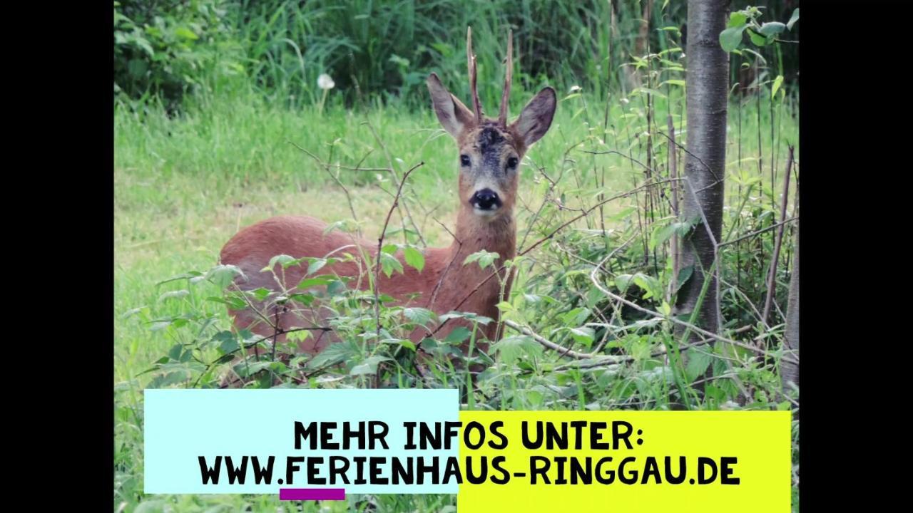 Haus Ringgau - Urlaub, Gemeinschaft Und Erlebnis Im Herzen Von Deutschland Herleshausen Extérieur photo