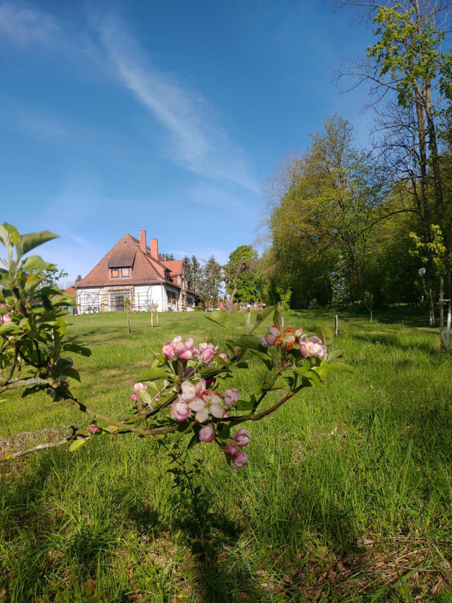 Haus Ringgau - Urlaub, Gemeinschaft Und Erlebnis Im Herzen Von Deutschland Herleshausen Extérieur photo